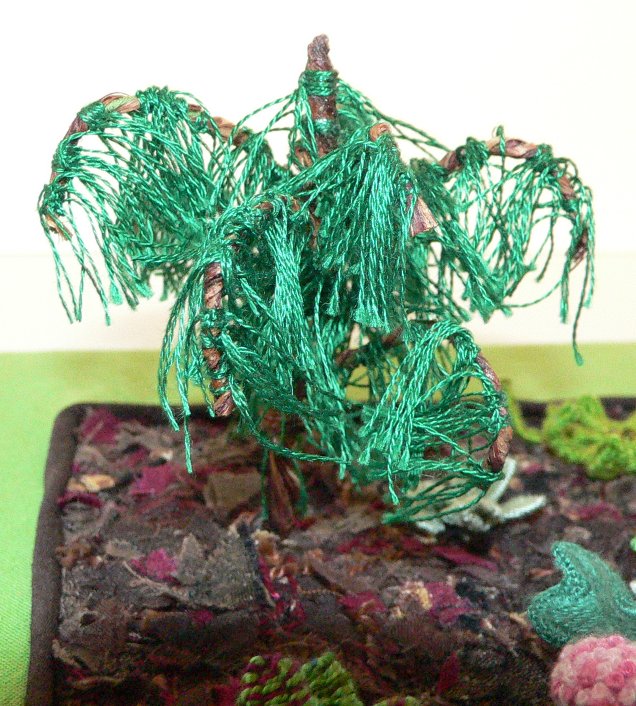 Weeping Nootka tree